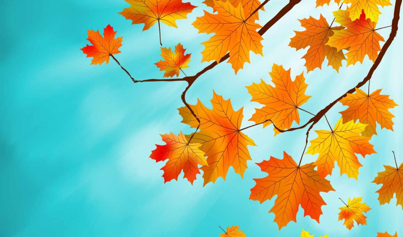 лист, осень, maple