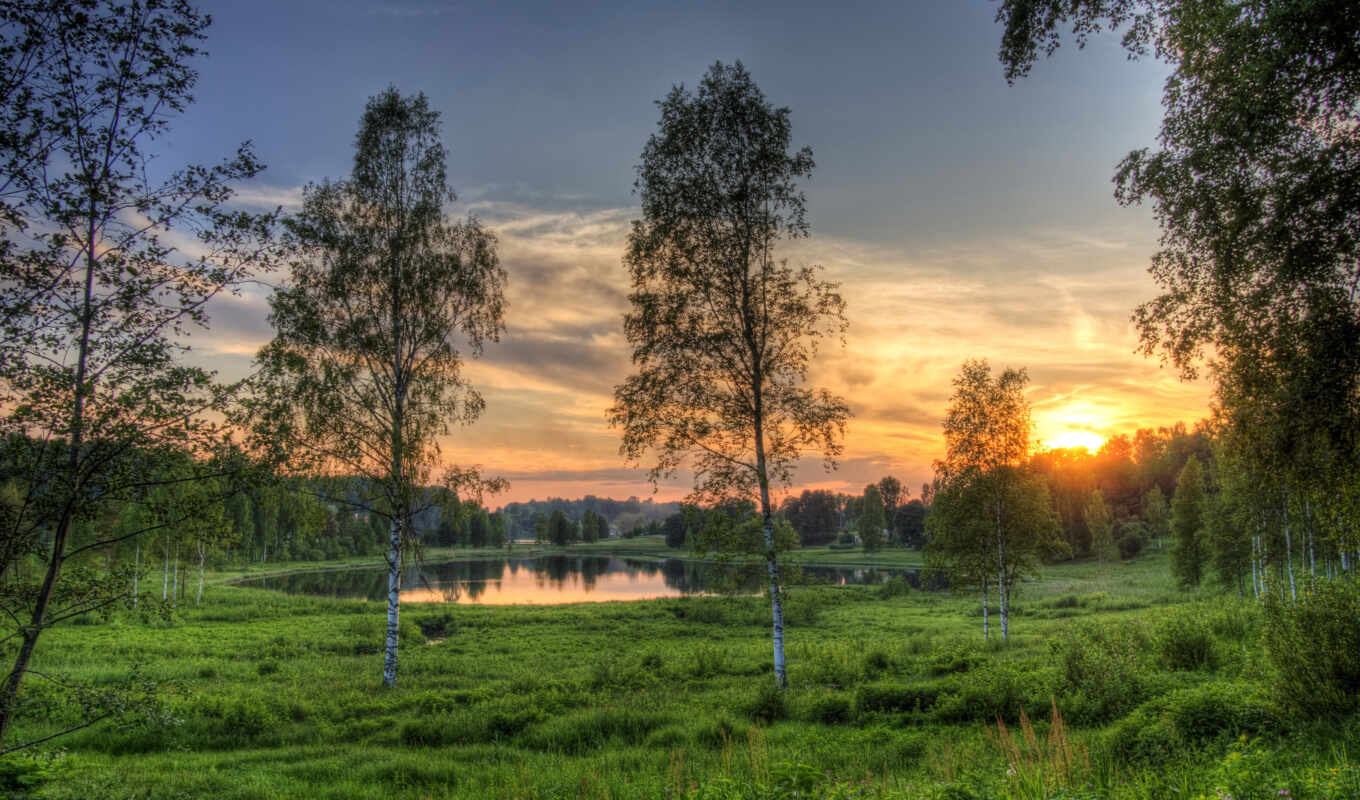 lake, nature, grass, field, sunsets, birches, estonia, estonia, dawn, rouger