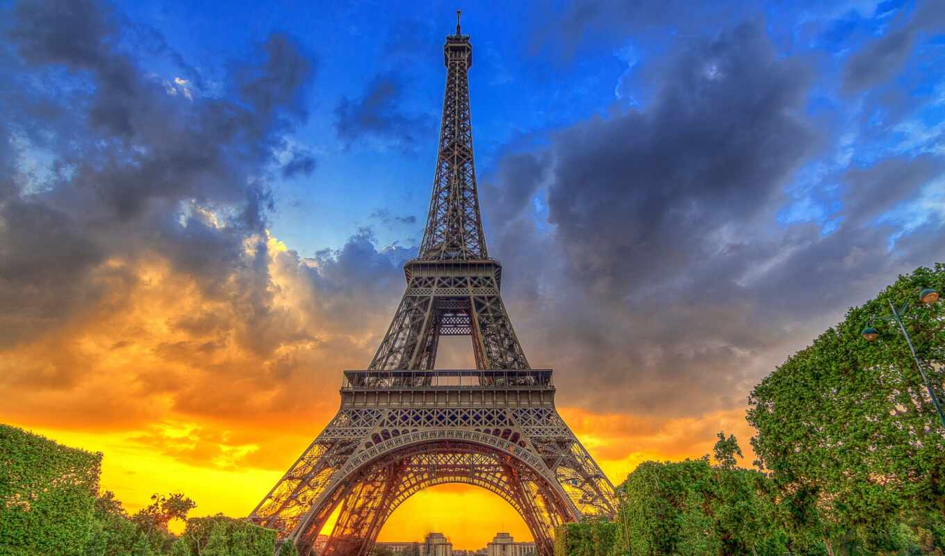 tree, France, Paris, tower, eiffel, France, eifelevyi