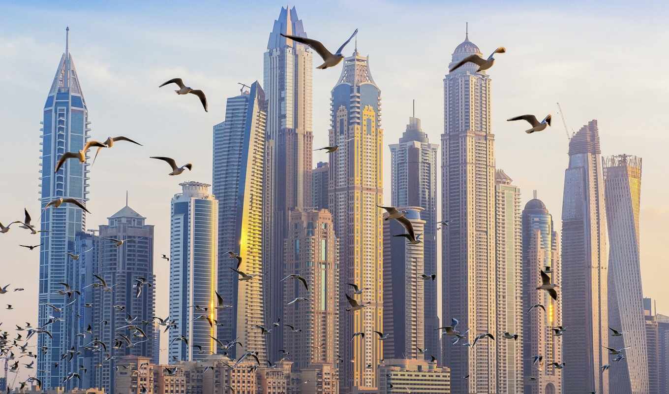 город, skyline, buildings, birds, flying, овцы, tall