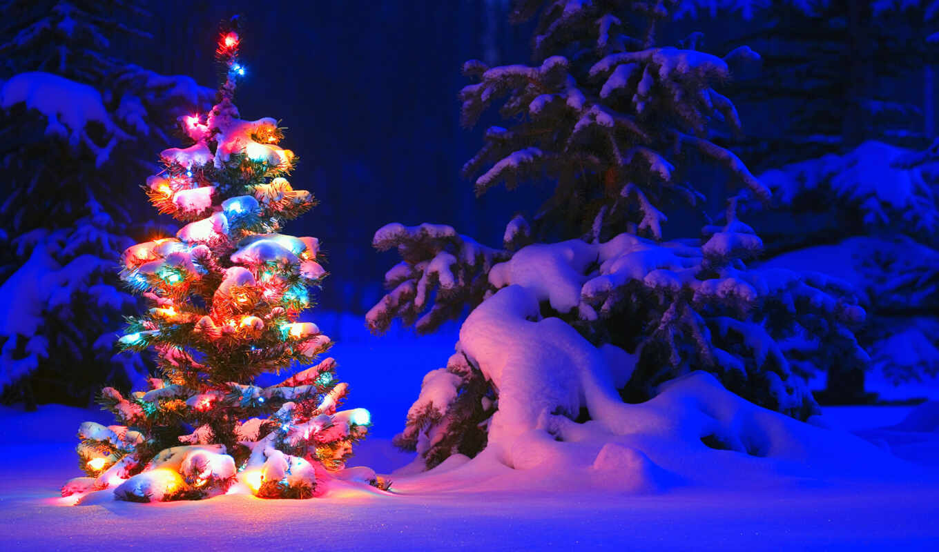 дерево, new, снег, winter, год, новогодние, праздники, новогодняя