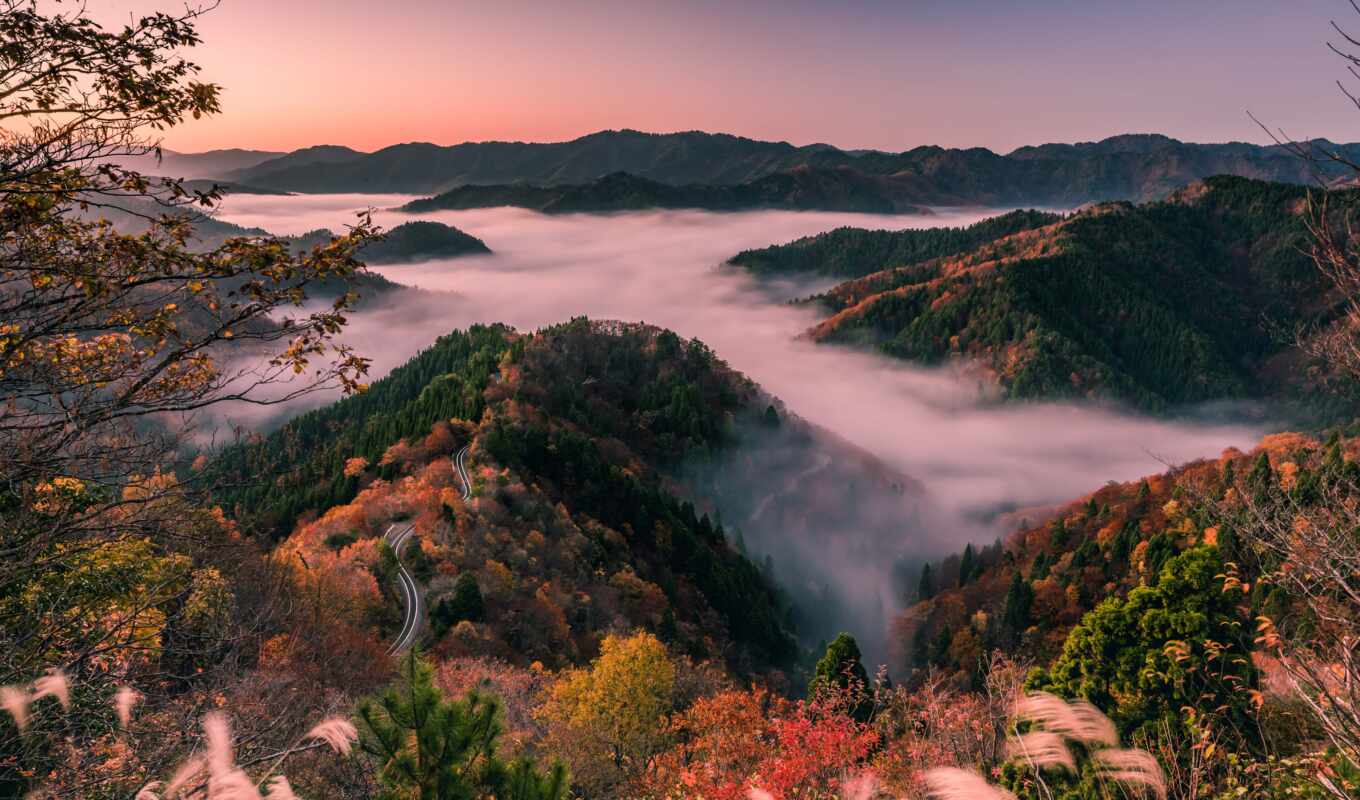природа, гора, landscape, japanese, утро, hill, япония, wood, mist, префектура
