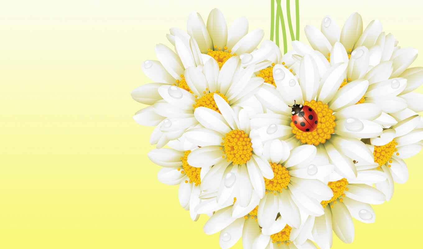 png, photo, daisies, painted
