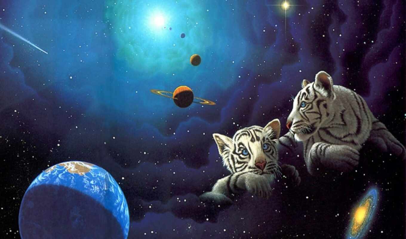 white, космос, тигр