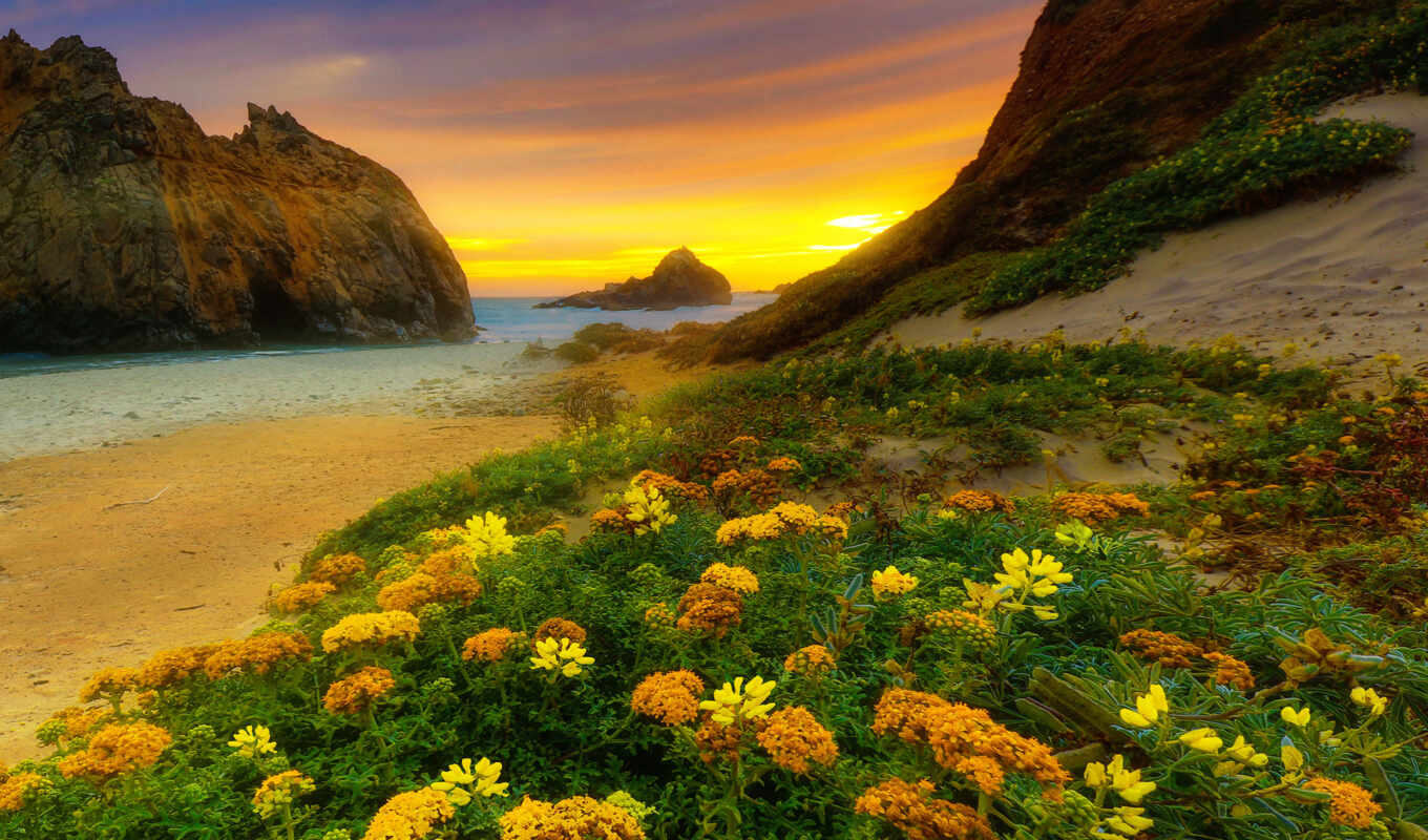 sunset, california, sunrise, coastal