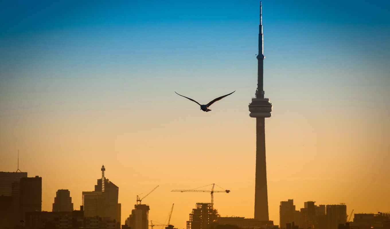 flight, tower, Toronto