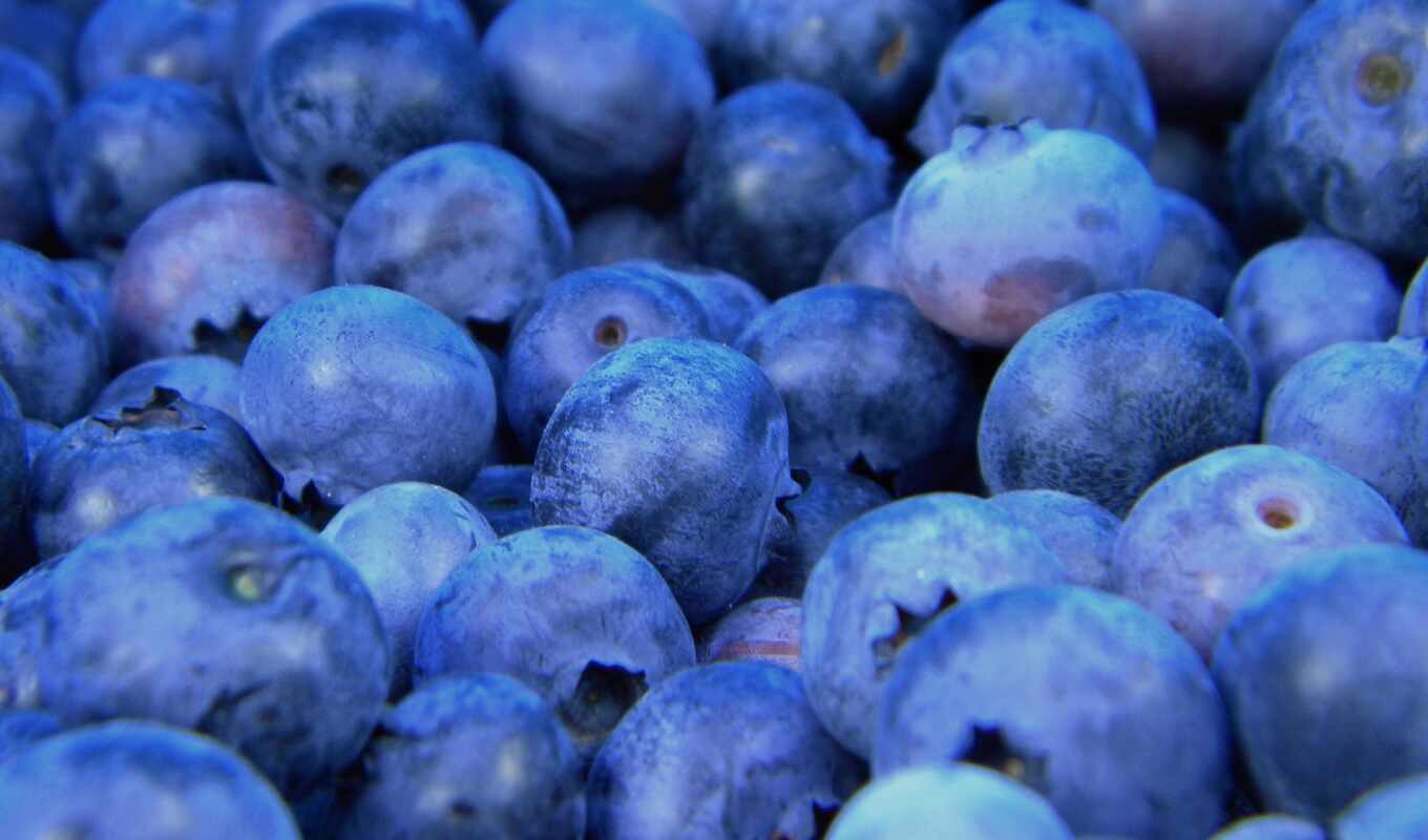 berry, blueberries