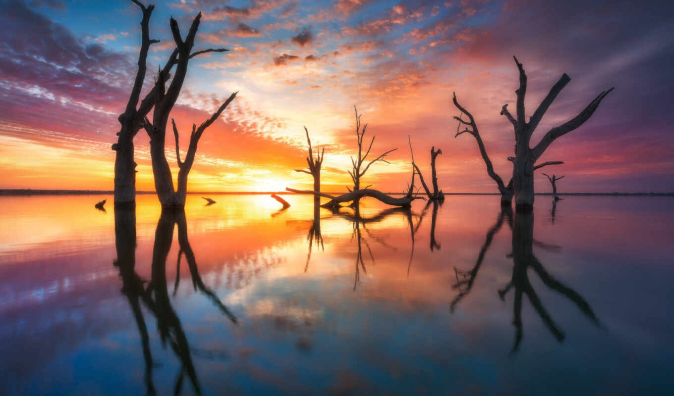 lake, nature, sky, photo, background, tree, Australia, reflection, royalty