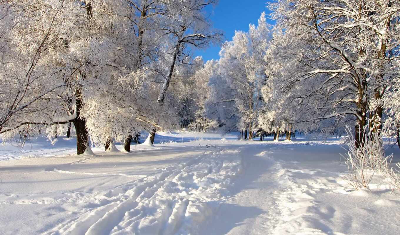 nature, winter, day, Saratov, ozhidatsya, zhkh