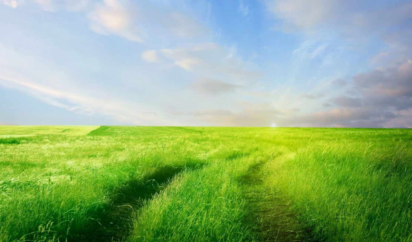 небо, зелёный, трава, дорога, поле, горизонт, oblaka