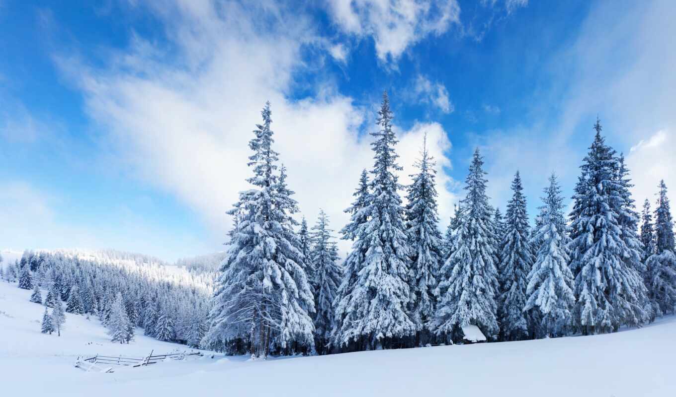 природа, снег, winter, лес, елки, oblaka, горы