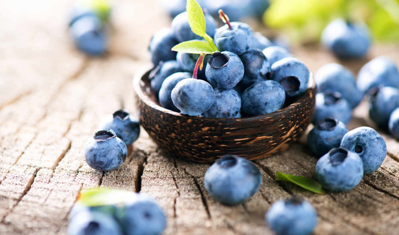 work, berry, blueberries