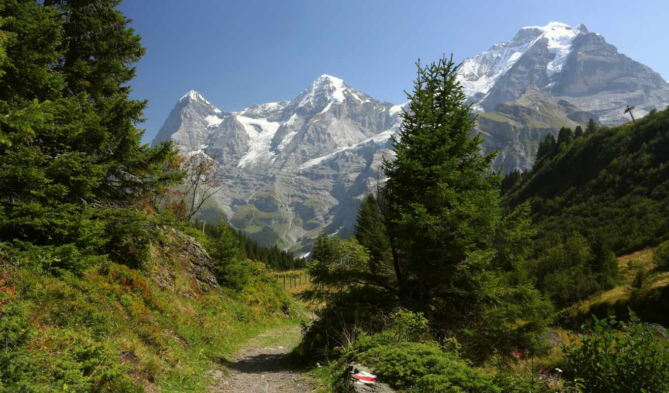 nature, tags, mountains, Switzerland, path, fir, region, jungfrau
