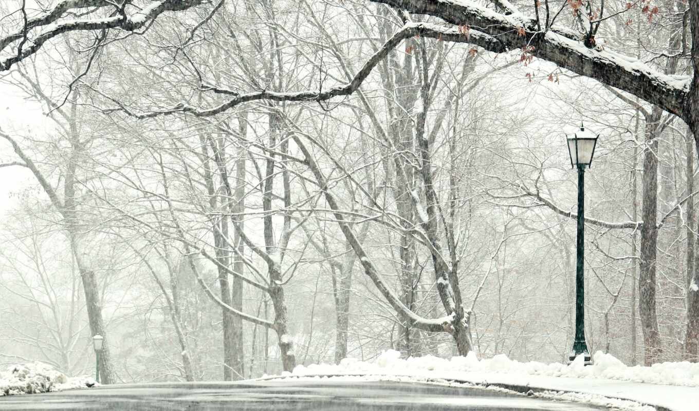снег, winter, лес, дорога, landscape, года, красавица, trees, wet, дождем