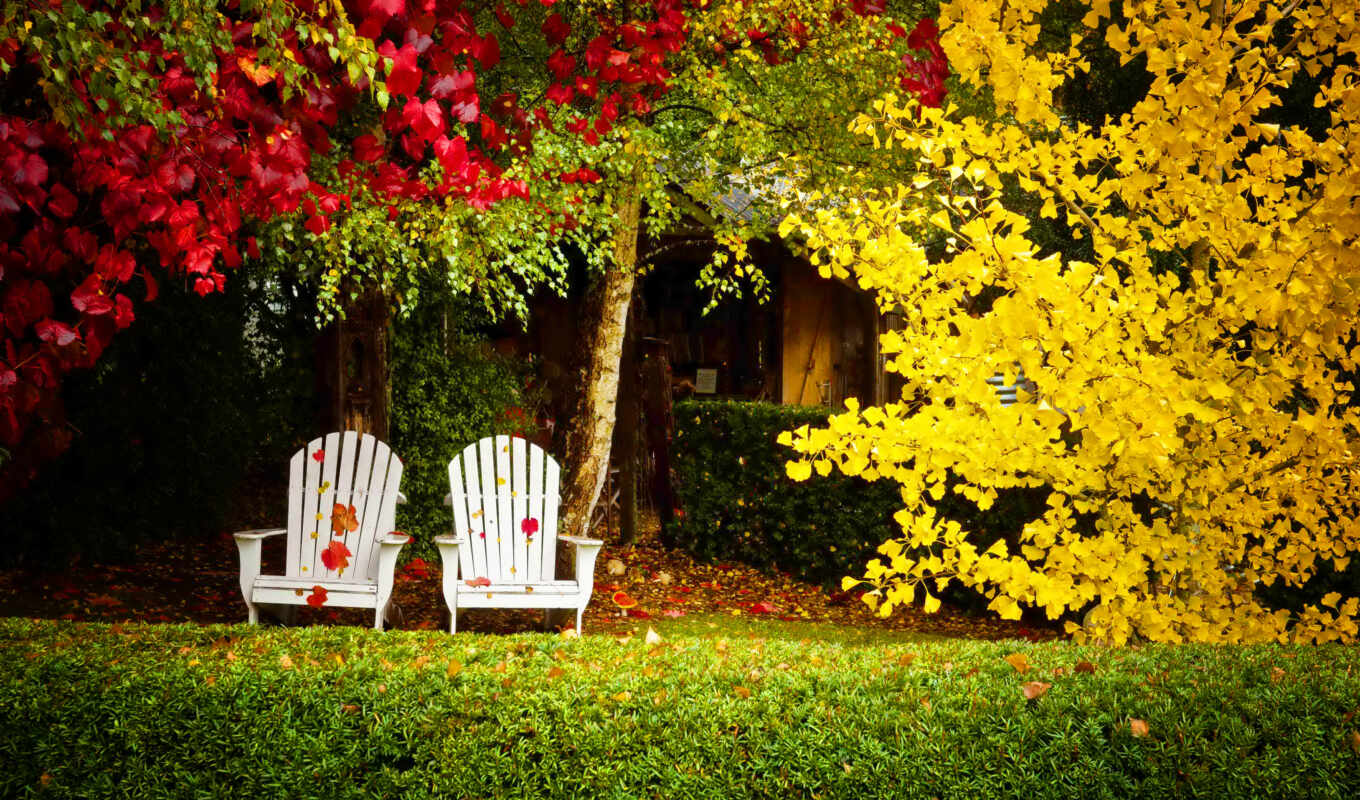 осень, fond, backyard