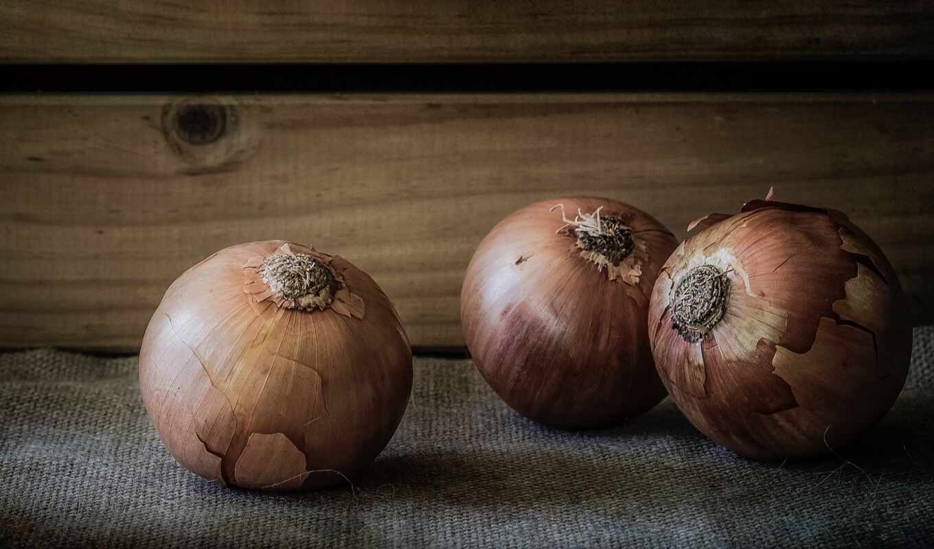 flowers, meal, still, onion, plant, life, vegetable, rare