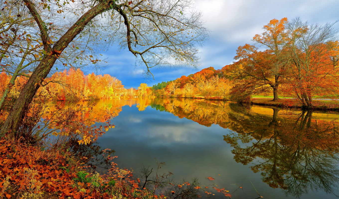 осень, природа, озеро, landscape, отражение, лес, красивые, 