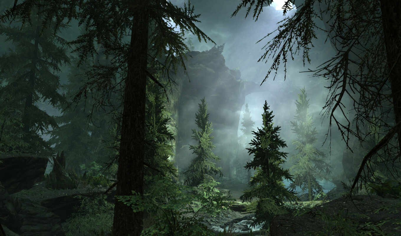 лес, туман