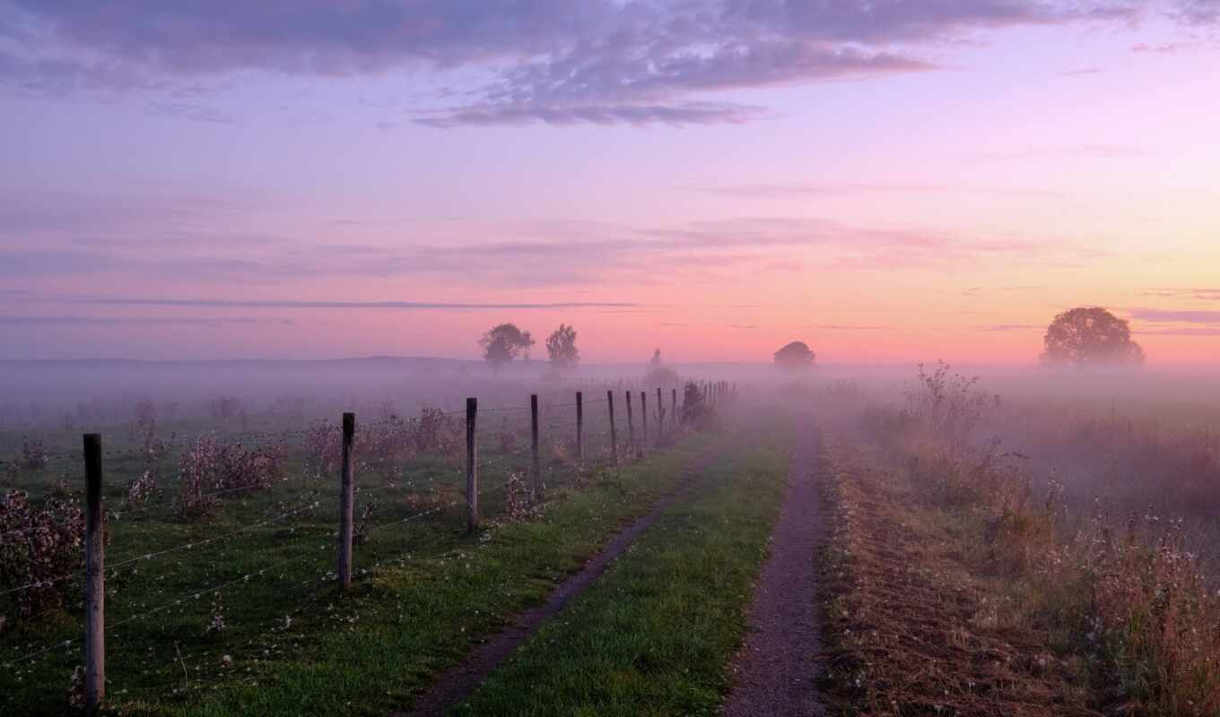sky, sunrise, road, trees, fog