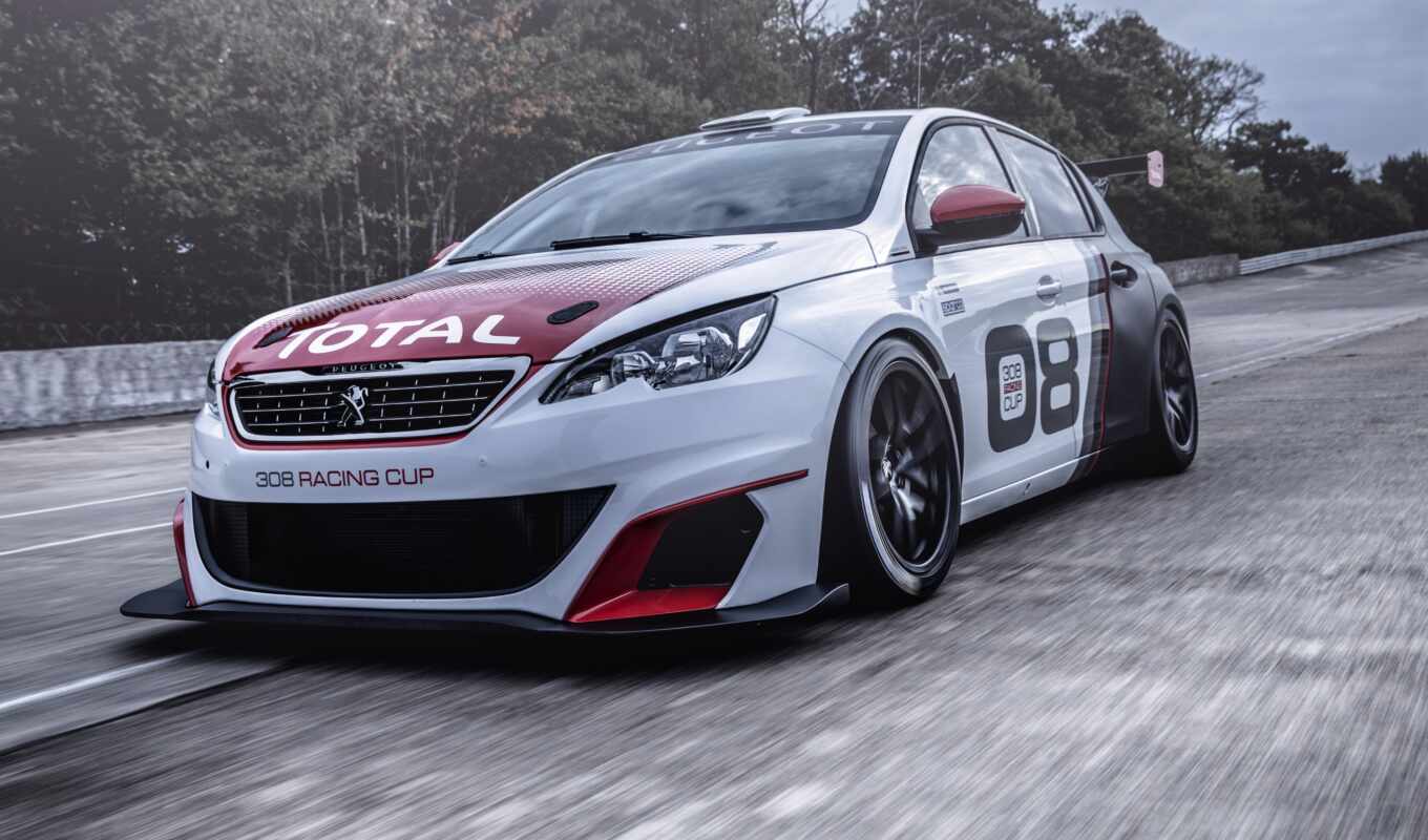 picture, tuning, cup, peugeot, race, gti, cars