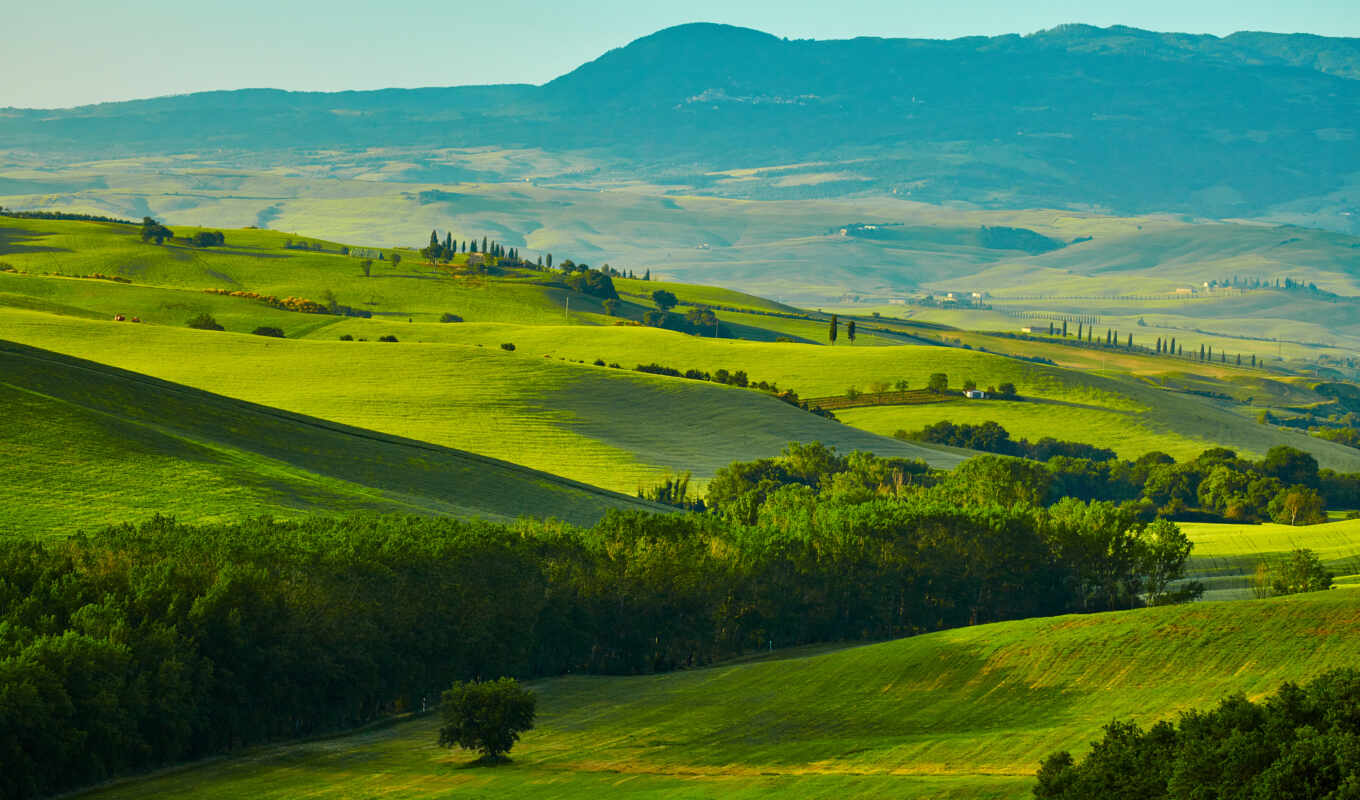 природа, дерево, поле, landscape, hill, duvar, italy, tuscany