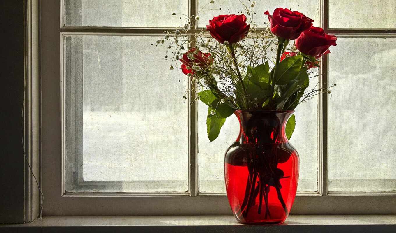 parede, red, pinterest, roses, flores, papéis, imagens, rosas, vermelhas, janela, vaso