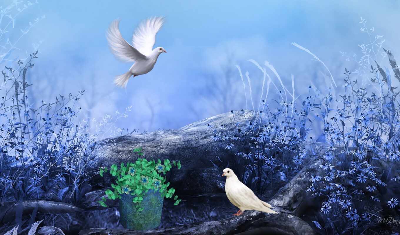 paint, bird, pigeon, dove