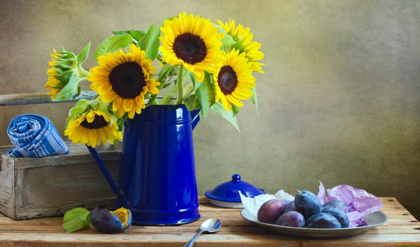 flowers, sunflower, still, fetus, plant, life