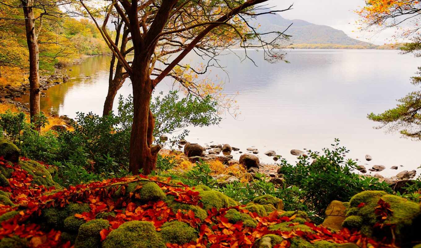 lake, tree, water, mountain, landscape, autumn, mouth, leaf