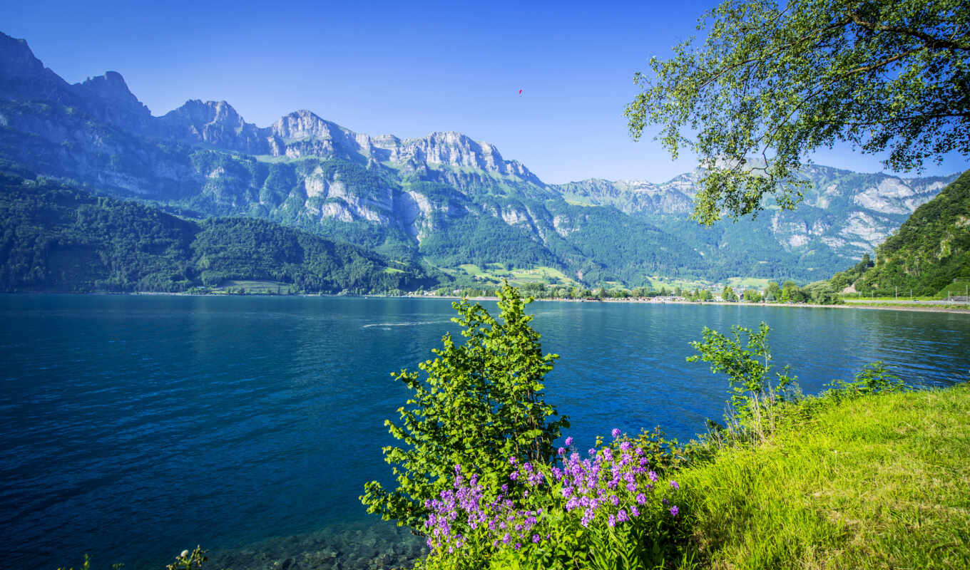 озеро, природа, summer, побережье, швейцария, горы
