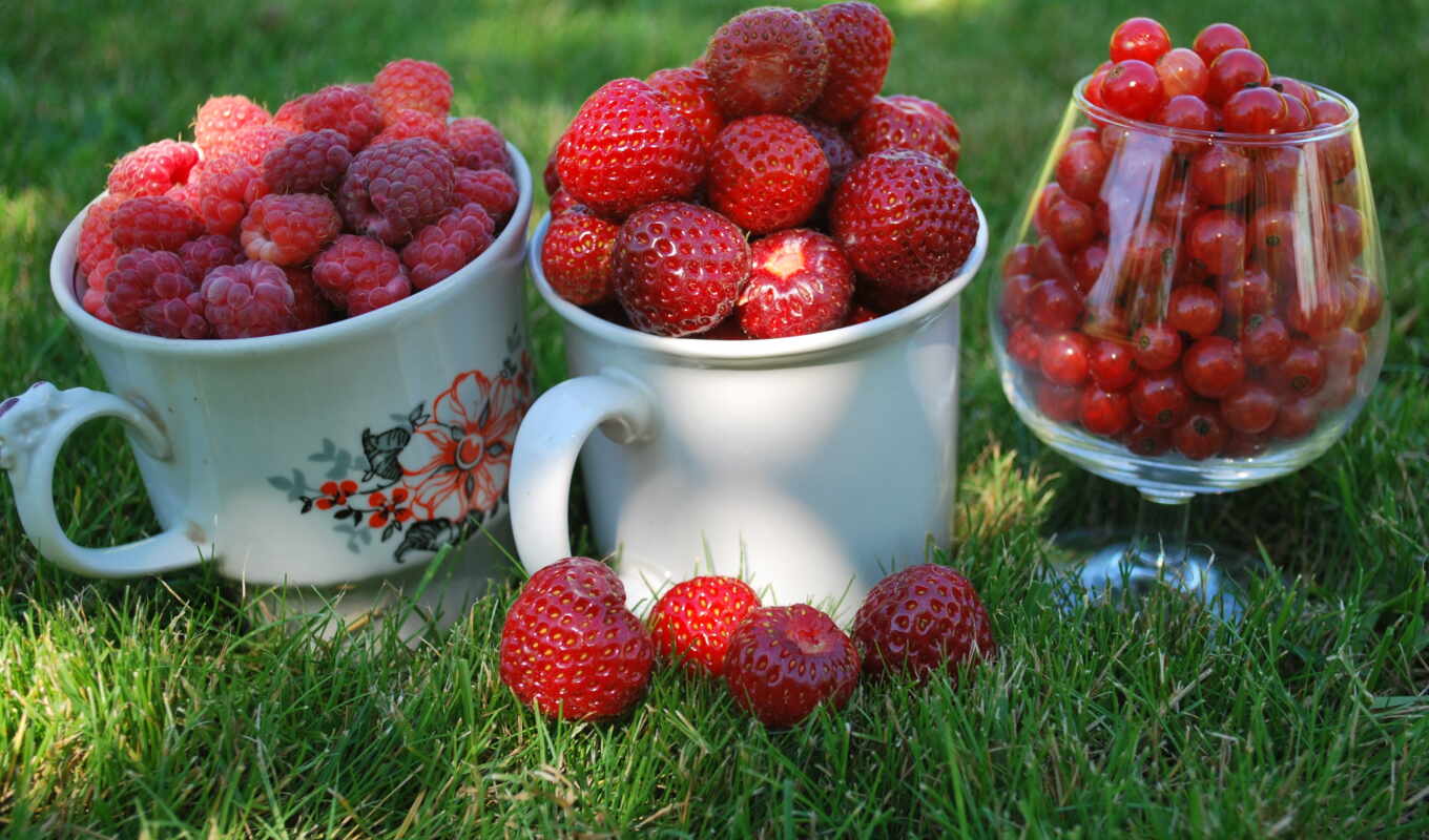 glass, red, трава, cup, малина, клубника, blackberry, ягода, смородина