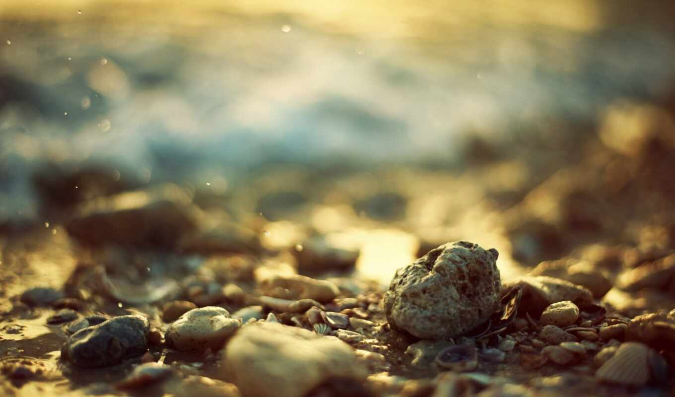 природа, камень, поле, depth, seashell