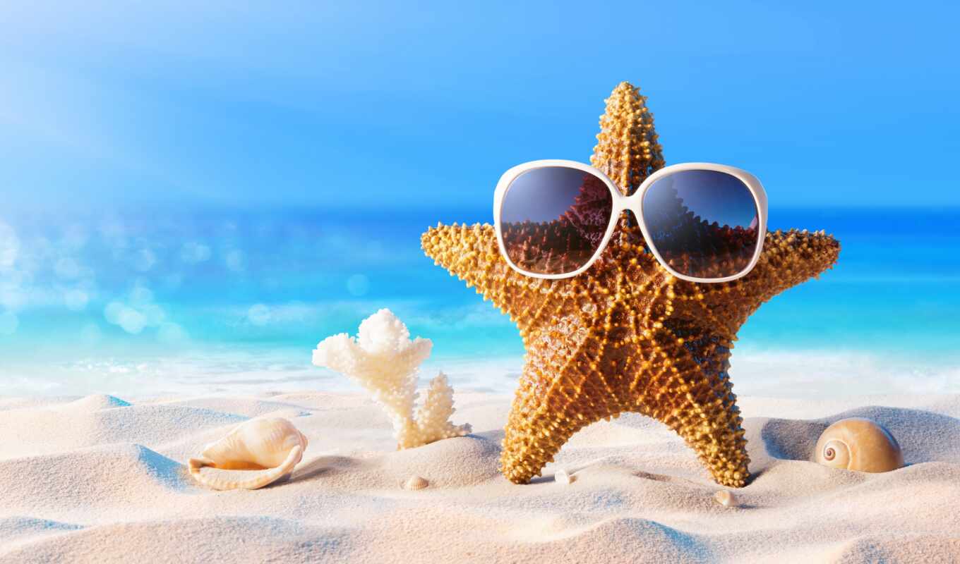 summer, пляж, банка, море, песок, marine, star, point, starfish, seashell