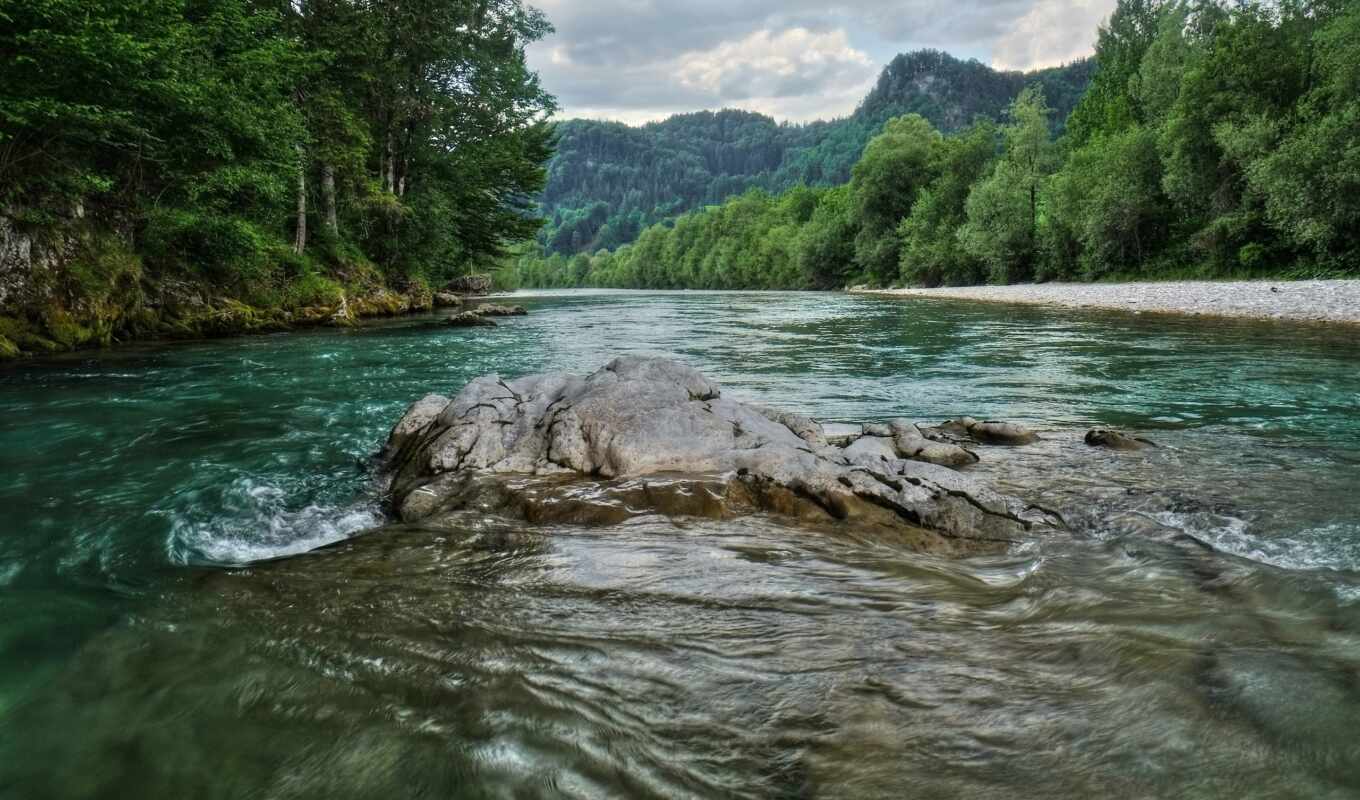природа, дерево, гора, австрия, река, fore