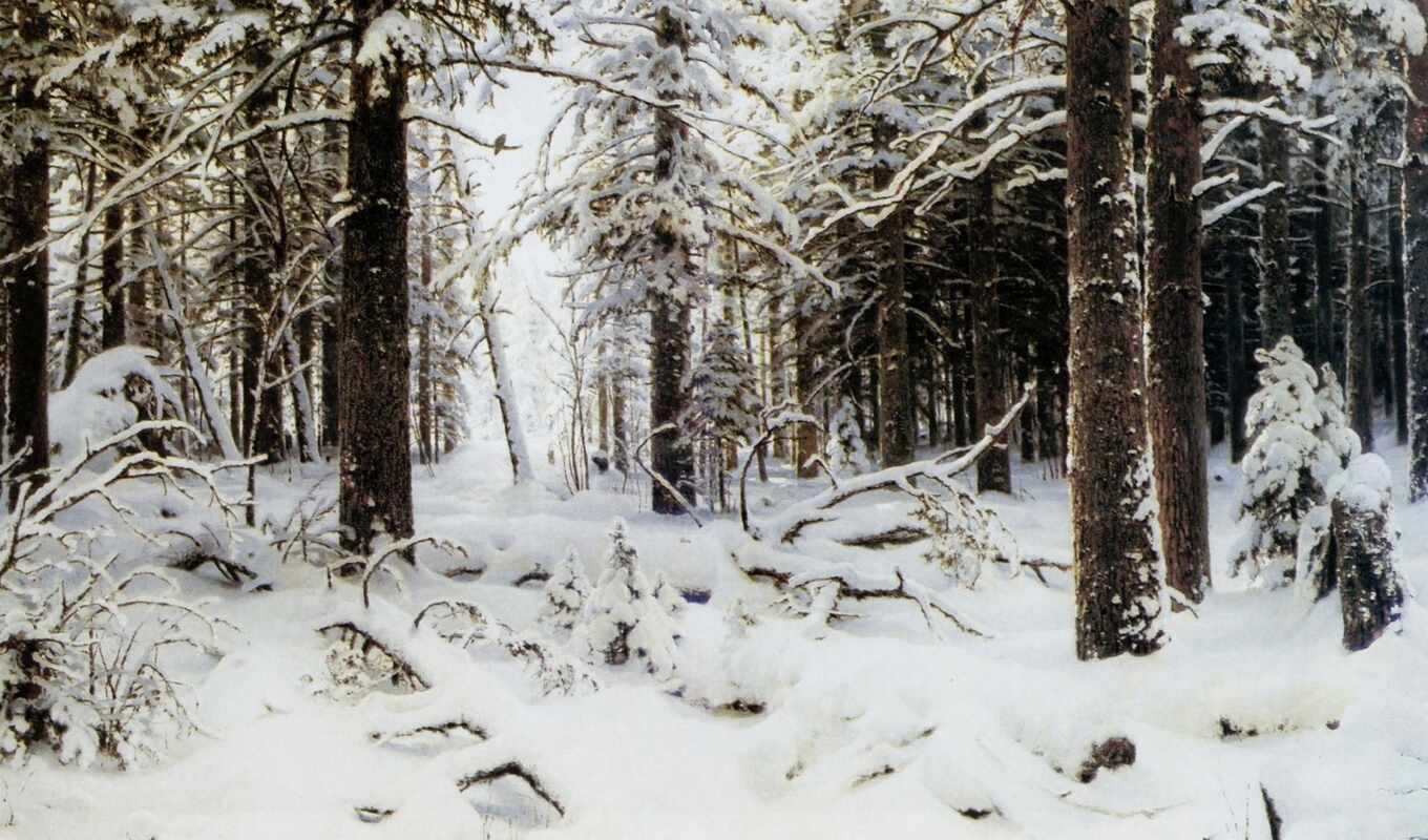 picture, winter, forest, forest, john, paintings, shushkin, Ivan, shots, Ivanovich