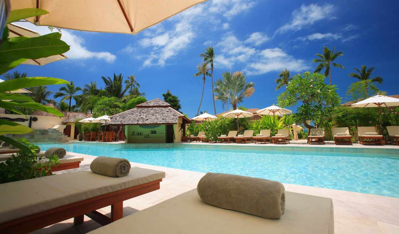 картинка, пальмы, бассейн, resort, tropical, martha, рейсы, лежаки