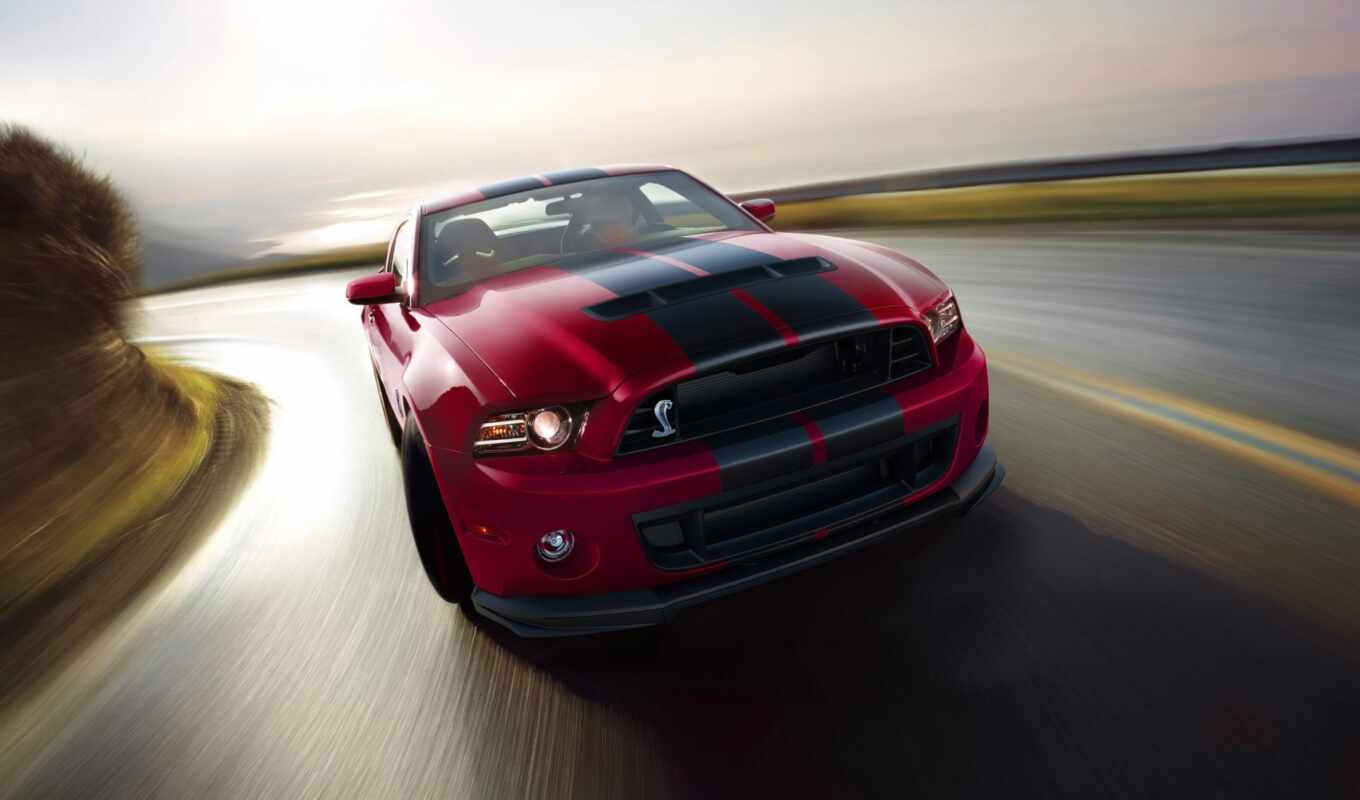 ford, mustang, shelby