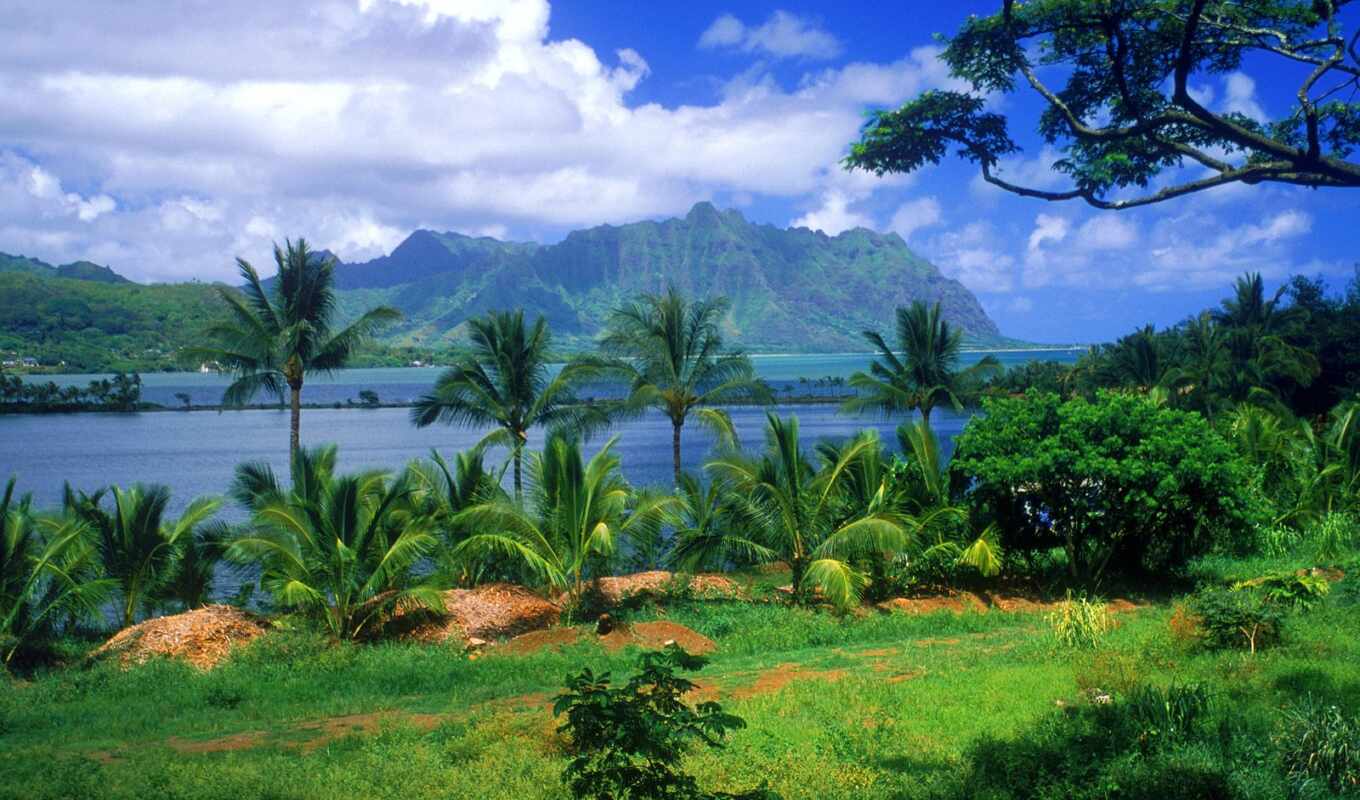 the most, usa, island, islands, beautiful, places, ground, hawaii, ocean, quiet, hawaii