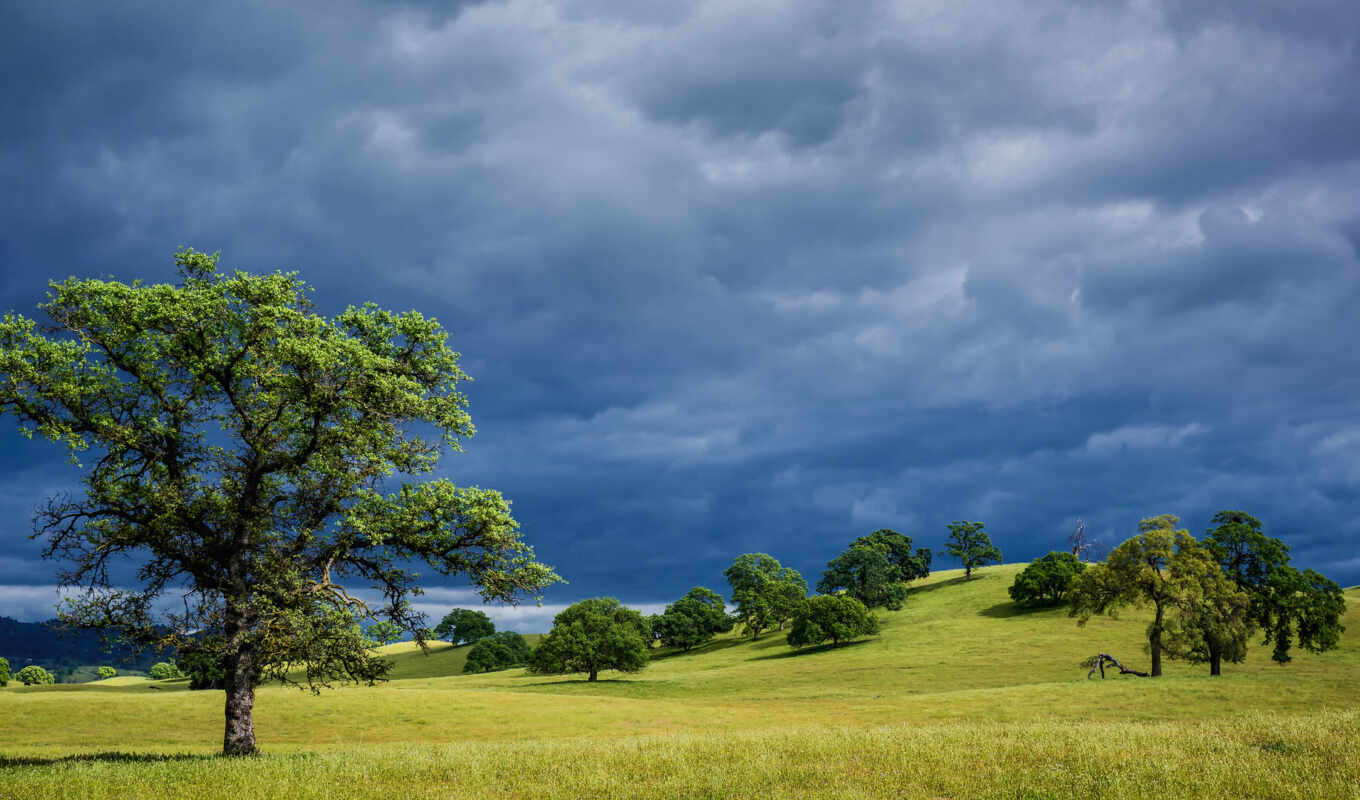 nature, sky, summer, grass, forest, landscape, spring, trees, clouds, hills, cloudy