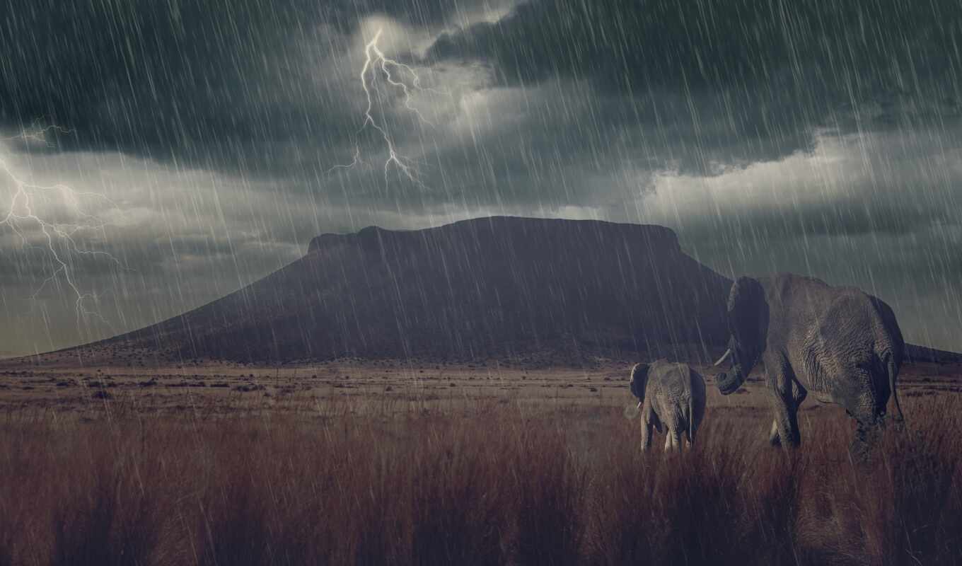 best, the storm, elephant, animals, mountains, meadow