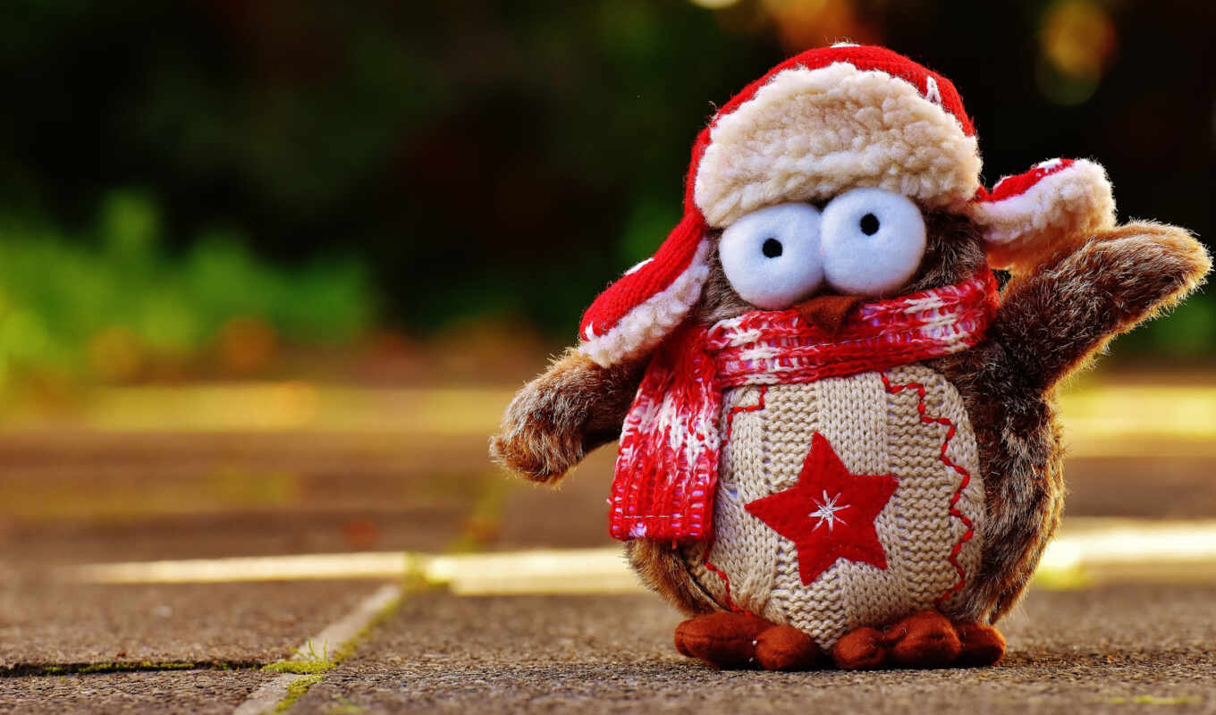 photo, face, red, winter, owl, cute, shirt, toy, dessert, scarf