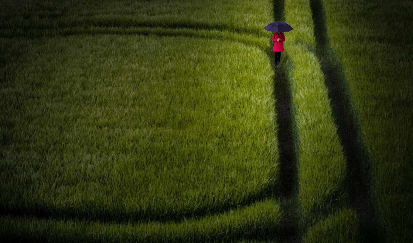 robot, girl, field, ball, soccer, umbrella, rye, lawn