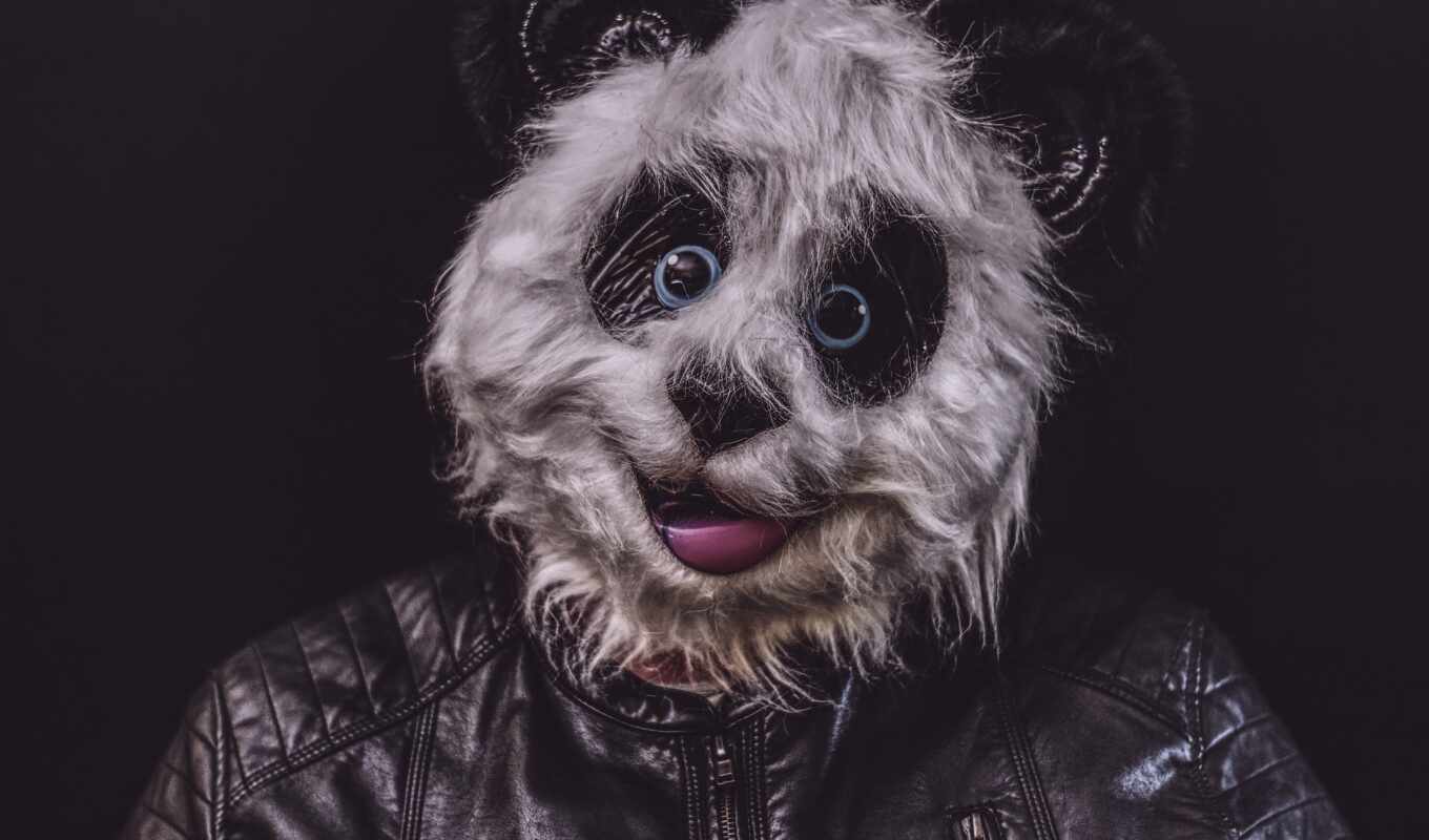 лицо, панда, funny, happy, маска, birthday