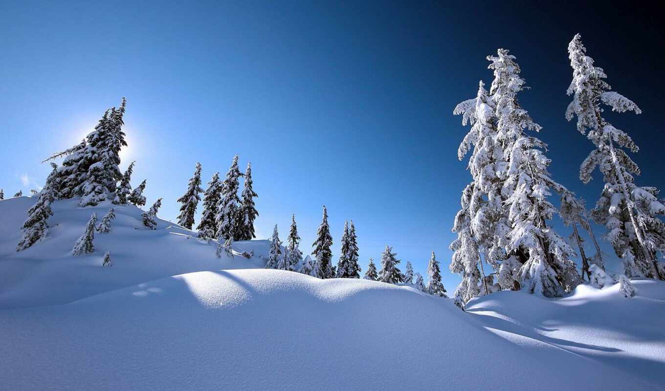 природа, снег, winter, холод, scenery, freeze