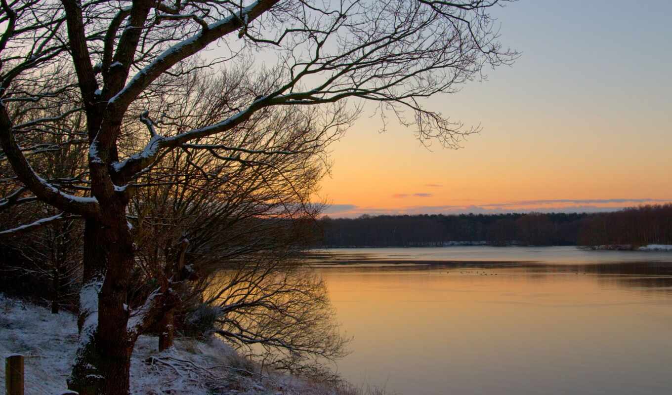 lake, nature, sunset, evening, photos, from behind, cold, bright, trees, wind
