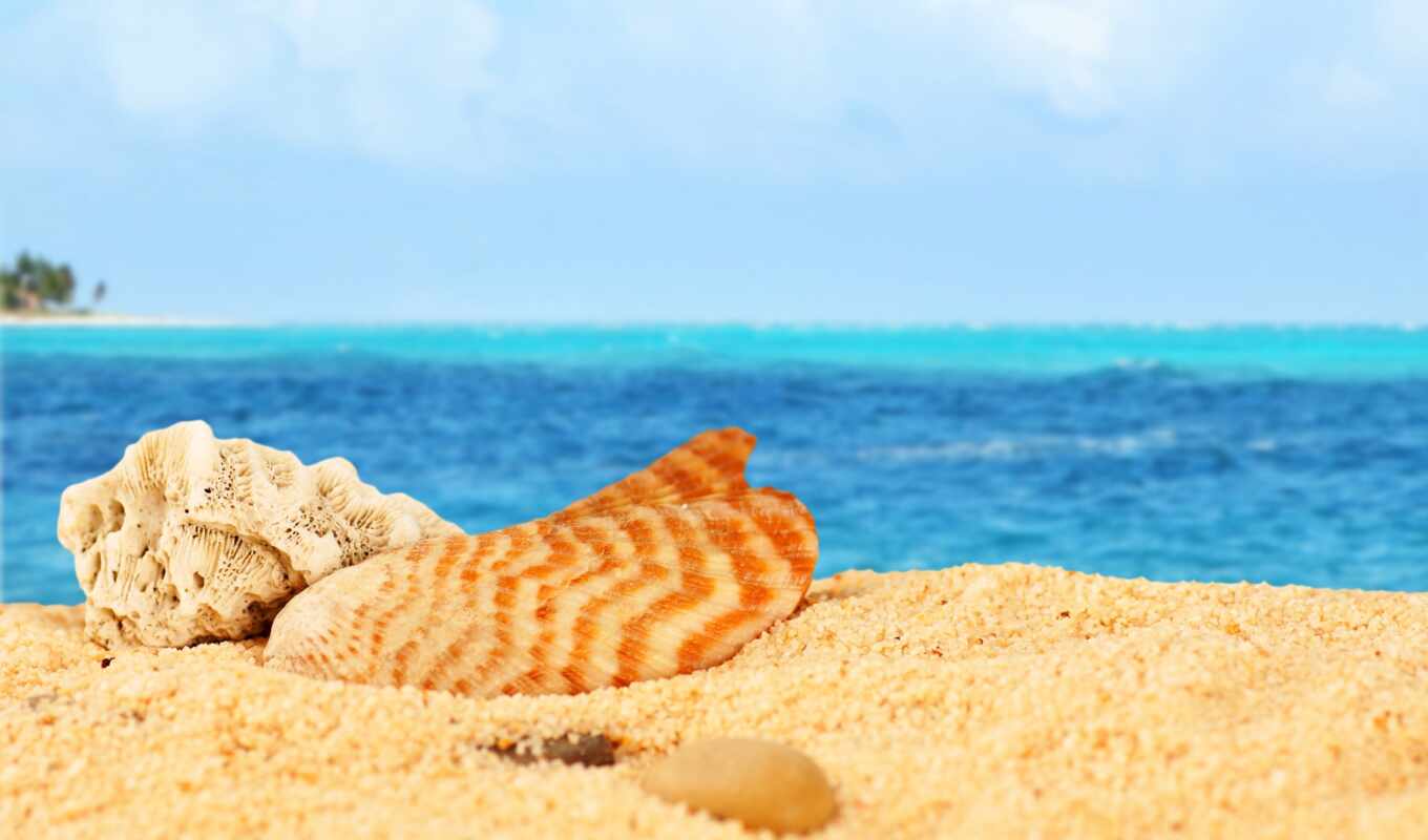 large format, sun, beautiful, beach, sea, free