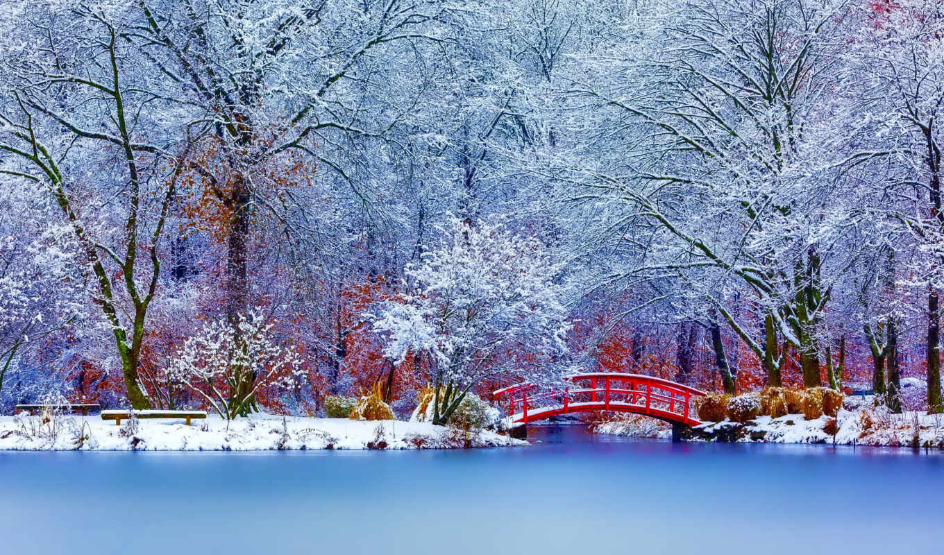 lake, nature, red, water, winter, Bridge, park, snowy