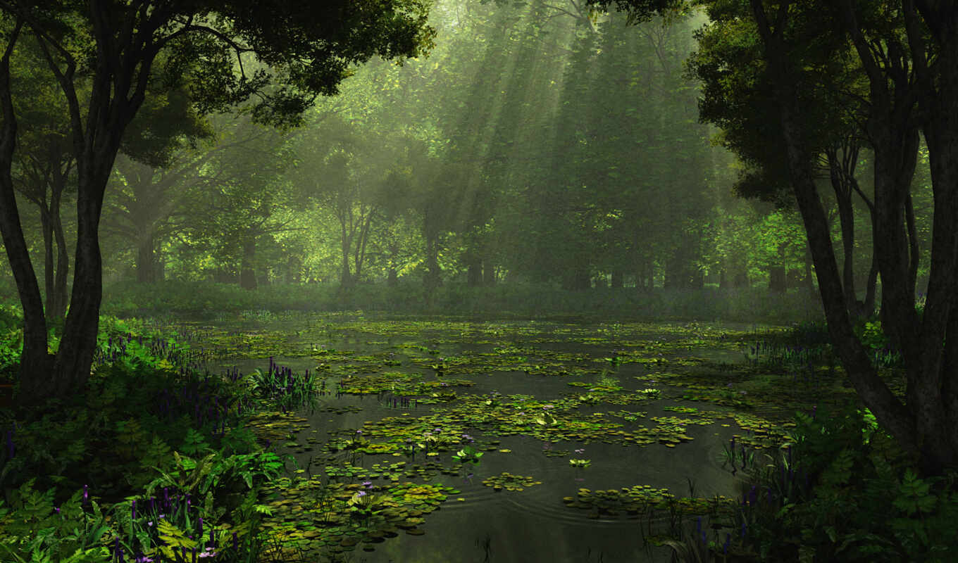 озеро, природа, лес, rendering, красивый, trees, swamp