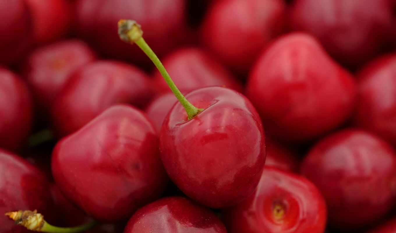 cherry, плод, сладкое, prunus, avium