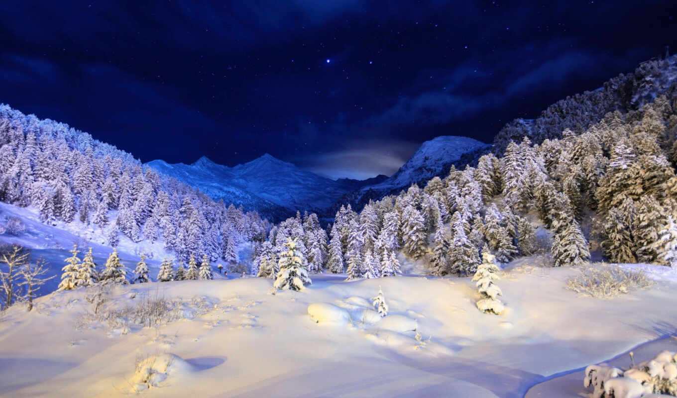 природа, небо, full, ночь, снег, winter, trees, зимушка